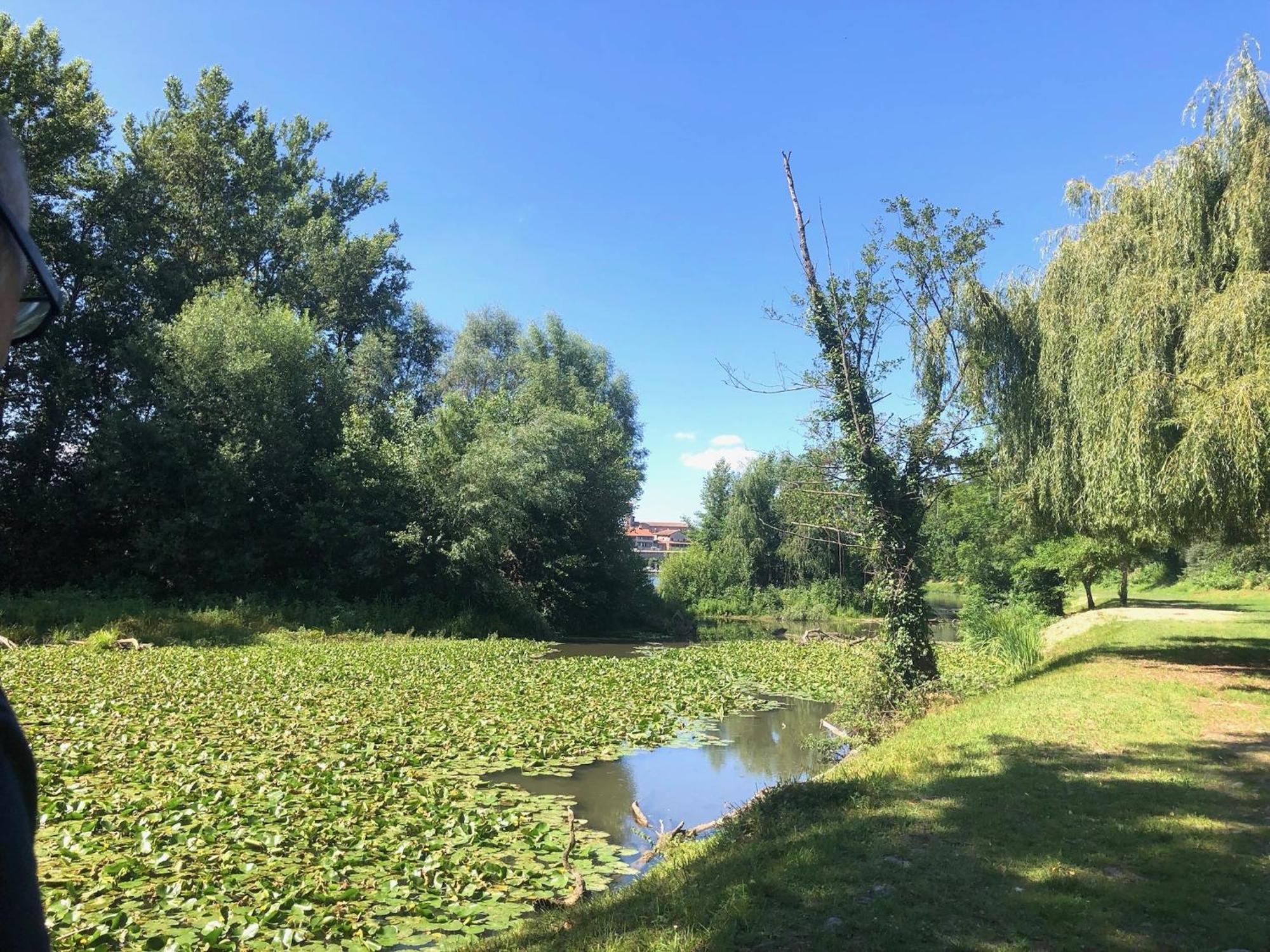 Beautiful Village House Next To Garonne River! Couladere المظهر الخارجي الصورة